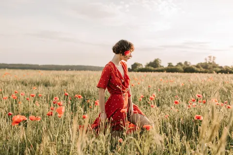 Poppy Field 4K Wallpaper · flowers · 3840×2560