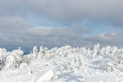 Winter Snow 4K Wallpaper · nature · 3840×2560