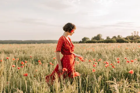 Hình nền Cánh đồng anh túc 4K · flowers · 3840×2560