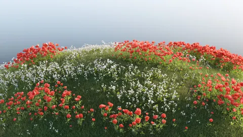 Daisy Field 4K Wallpaper · flowers · 3840×2160