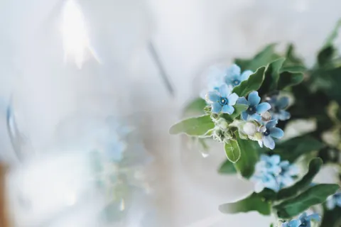 Hydrangea 4K Wallpaper · flowers · 3840×2560