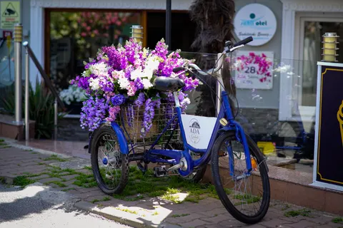 Hydrangea 4K Wallpaper · flowers · 3840×2560