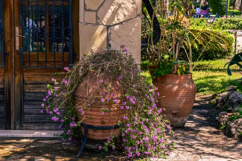 Wisteria 4K Wallpaper · flowers · 3840×2560