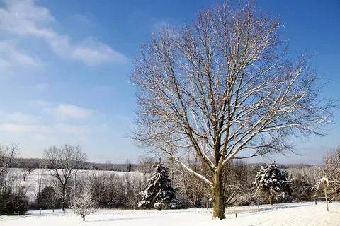خلفية ثلج الشتاء بدقة 4K · nature · 3840×2560