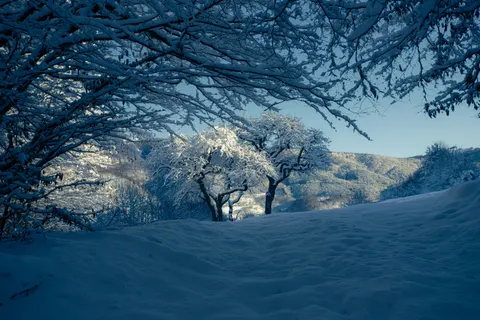 خلفية ثلج الشتاء بدقة 4K · nature · 3840×2560