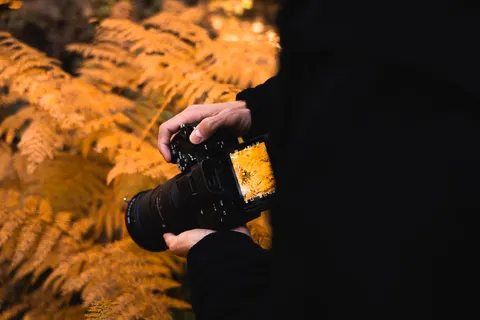 Autumn Leaves 4K Wallpaper · flowers · 3840×2560