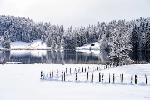 Winter Snow 4K Wallpaper · nature · 3840×2560