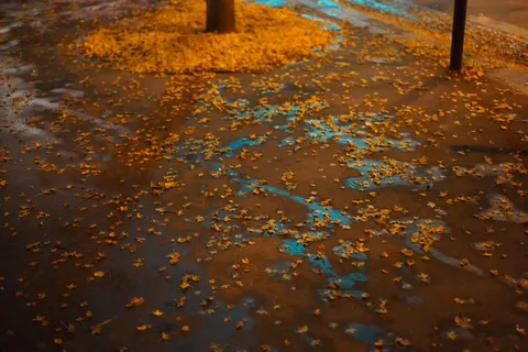 Rainy Street 4K Wallpaper · city · 3840×2560
