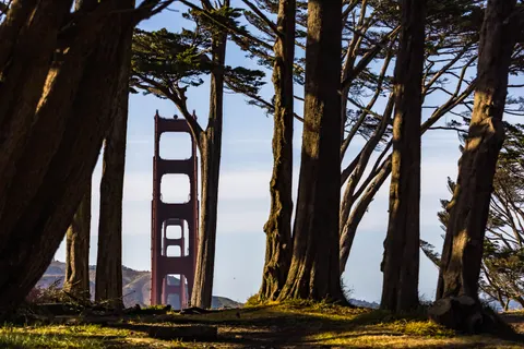 Golden Gate 4K Wallpaper · city · 3840×2560