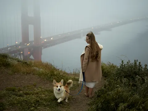 Golden Gate 4K Wallpaper · city · 3840×2879