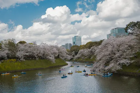 Tokyo by Day 4K Wallpaper · city · 3840×2560