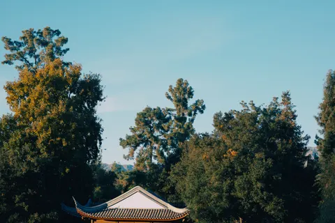 Japanese Pagoda 4K Wallpaper · architecture · 3840×2560