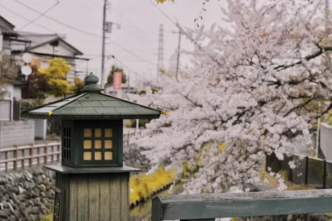 Japanese Pagoda 4K Wallpaper · architecture · 3840×2560