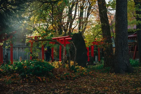 Japanese Pagoda 4K Wallpaper · architecture · 3840×2560