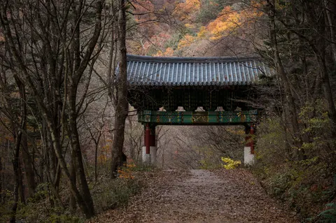 Japanese Pagoda 4K Wallpaper · architecture · 3840×2552
