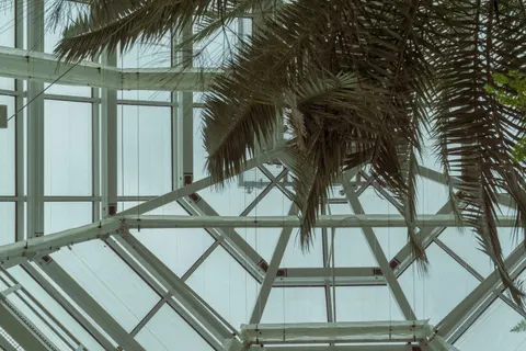 Glass Dome 4K Wallpaper · architecture · 3840×2560