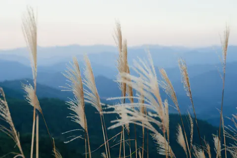 Mount Fuji 4K Wallpaper · mountains · 3840×2560