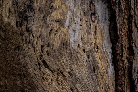Sfondo Venatura del Legno 4K · minimal · 3840×2560