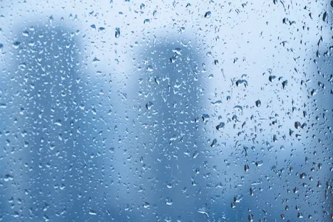 Fondo de pantalla Gotas de lluvia 4K · nature · 3840×2560