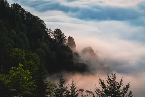 Foggy Valley 4K Wallpaper · mountains · 3840×2560