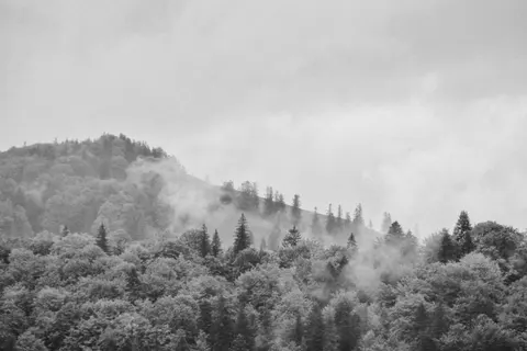 Foggy Valley 4K Wallpaper · mountains · 3840×2560