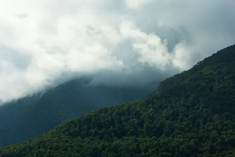 Foggy Valley 4K Wallpaper · mountains · 3840×2560
