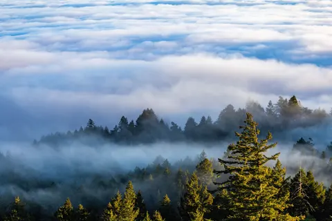 Foggy Valley 4K Wallpaper · mountains · 3840×2560