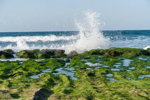 Rocky Shore 4K Wallpaper · ocean · 3840×2560