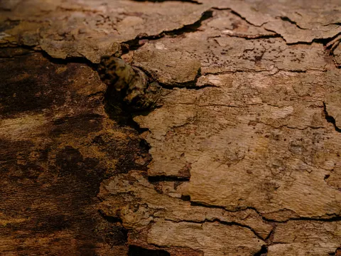 Sfondo Venatura del Legno 4K · minimal · 3840×2880