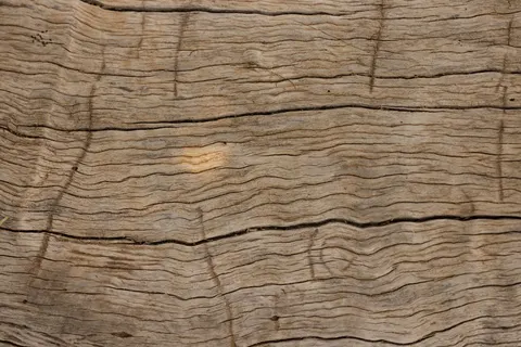 Sfondo Venatura del Legno 4K · minimal · 3840×2561