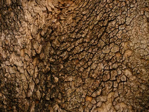 Sfondo Venatura del Legno 4K · minimal · 3840×2880