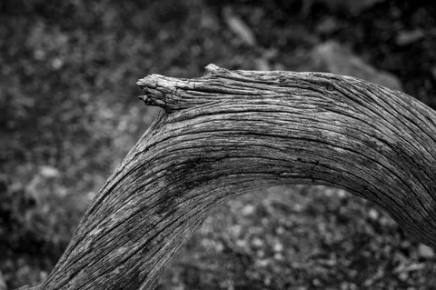 Sfondo Venatura del Legno 4K · minimal · 3840×2555