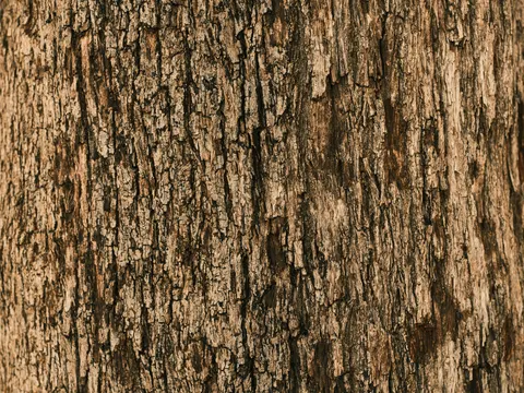 Sfondo Venatura del Legno 4K · minimal · 3840×2880