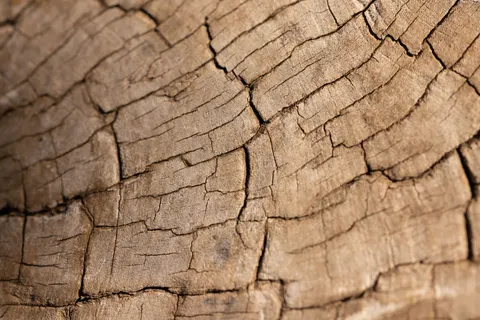 Sfondo Venatura del Legno 4K · minimal · 3840×2561