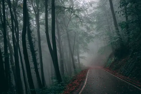 Fondo de pantalla Carretera con niebla 4K · nature · 3840×2560