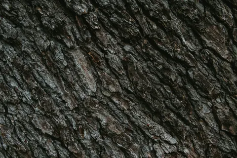 Sfondo Venatura del Legno 4K · minimal · 3840×2560