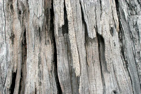 Sfondo Venatura del Legno 4K · minimal · 3840×2560