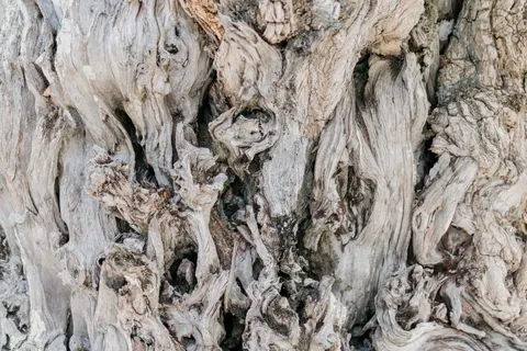 Sfondo Venatura del Legno 4K · minimal · 3840×2560