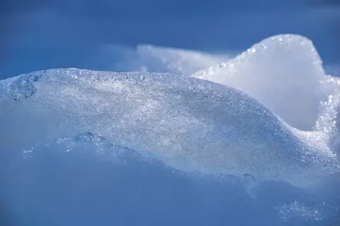 Polar Bear 4K Wallpaper · animals · 3840×2560