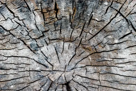 Fondo de pantalla Veta de Madera 4K · minimal · 3840×2560