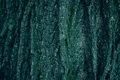 Sfondo Venatura del Legno 4K · minimal · 3840×2560
