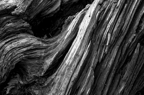 Sfondo Venatura del Legno 4K · minimal · 3840×2555
