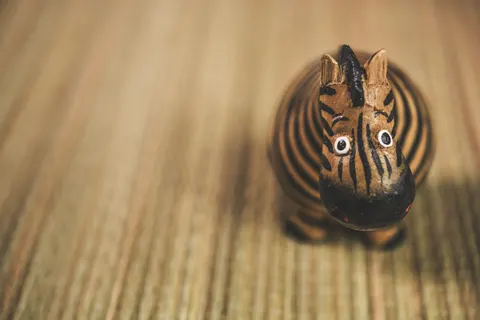 Zebra 4K Wallpaper · animals · 3840×2560