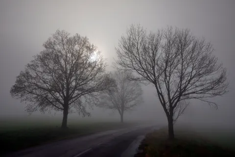 Foggy Road 4K Wallpaper · nature · 3840×2562