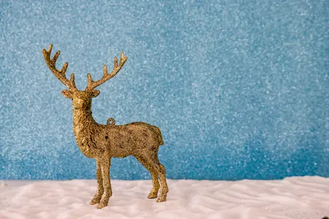 Deer in Snow 4K Wallpaper · animals · 3840×2561