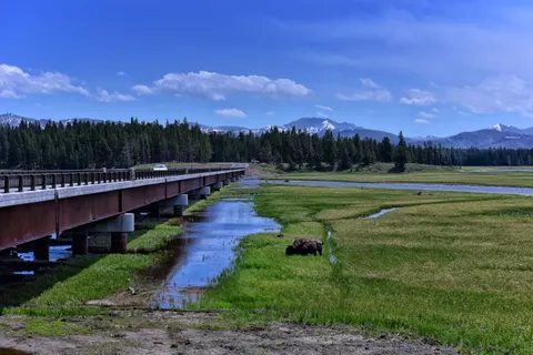 Bison 4K Wallpaper · animals · 3840×2563