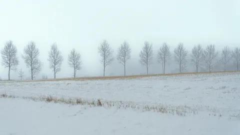 والپیپر مینیمال مه‌آلود با کیفیت 4K · minimal · 3840×2160