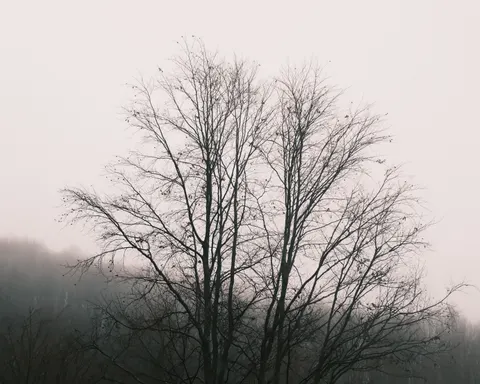 안개 미니멀 4K 배경화면 · minimal · 3840×3076