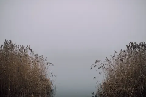 Sisli Minimal 4K Duvar Kağıdı · minimal · 3840×2560