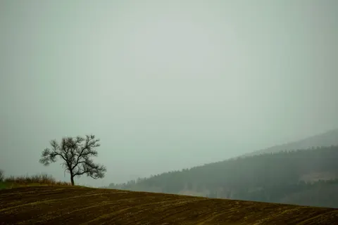 Sisli Minimal 4K Duvar Kağıdı · minimal · 3840×2560